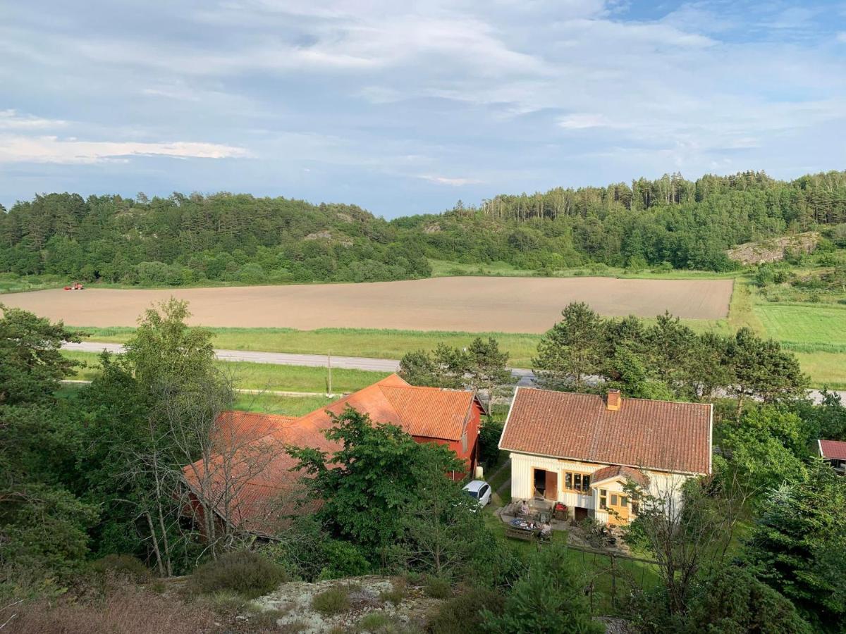 Naturnaera Gard I Tyfta Kültér fotó
