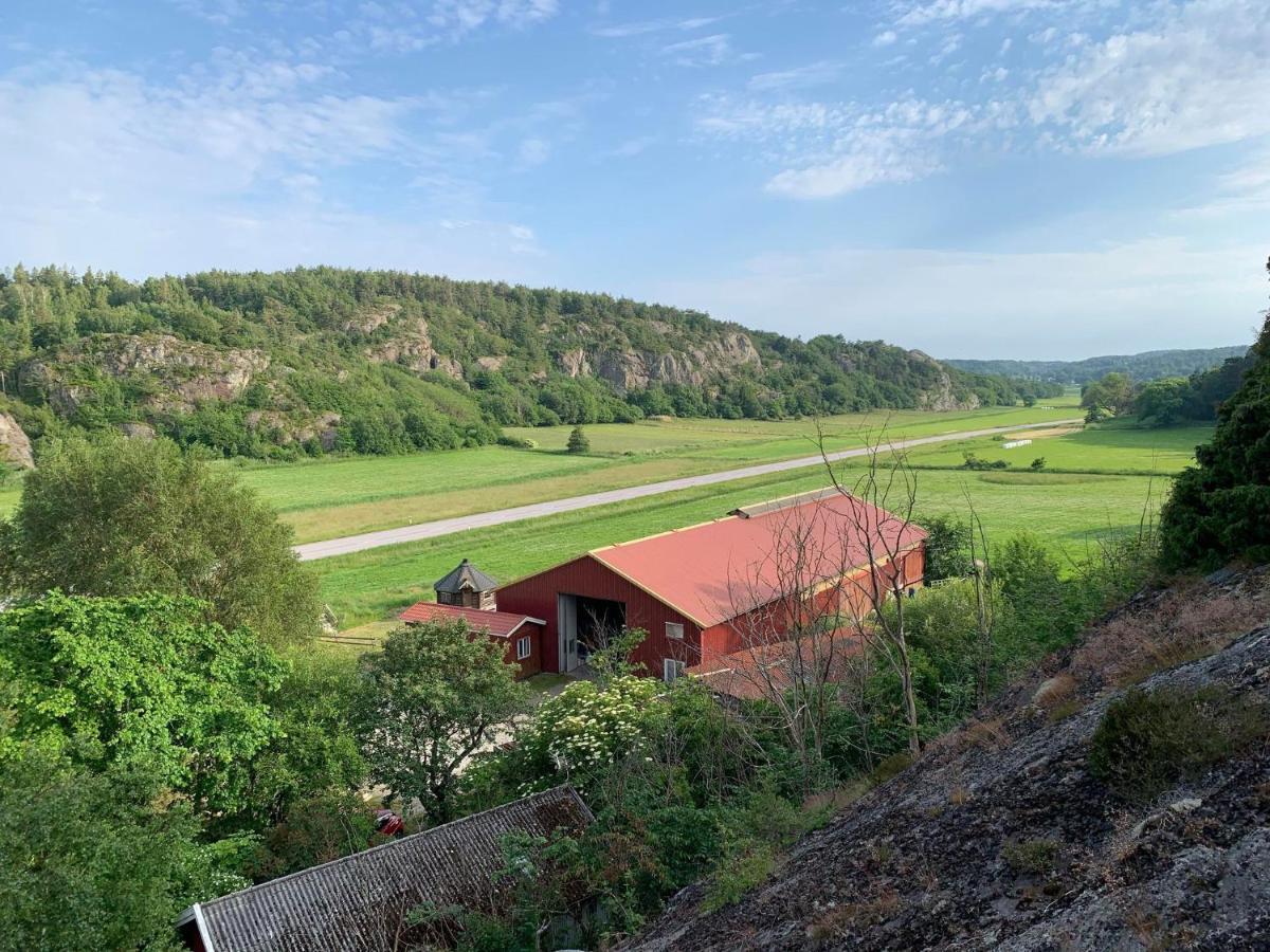 Naturnaera Gard I Tyfta Kültér fotó